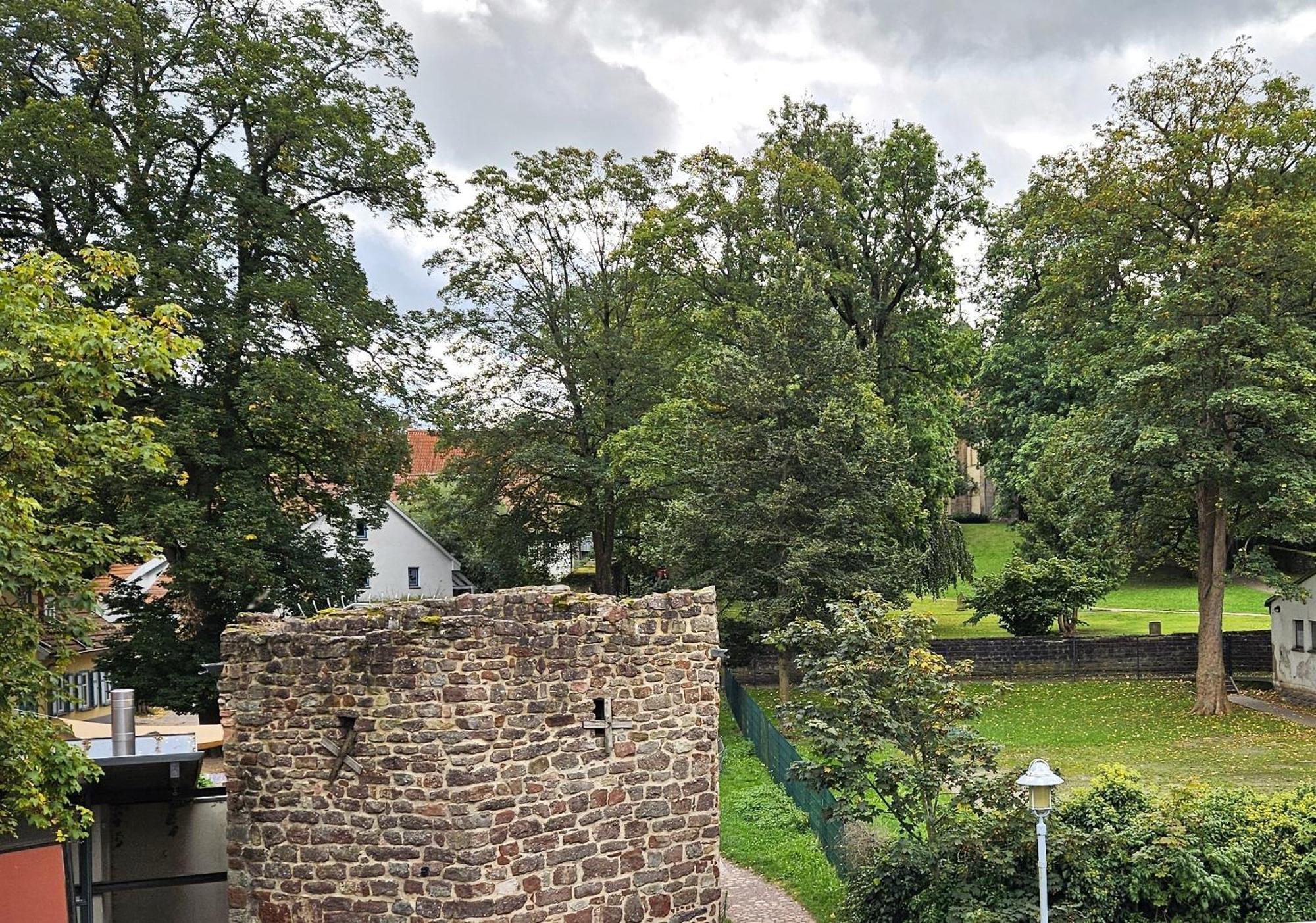 Apartments Am Storchenturm Im Hellgrevenhof Eisenach Buitenkant foto